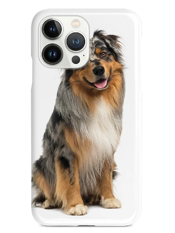 Australian Shepherd - Blue Merle Case