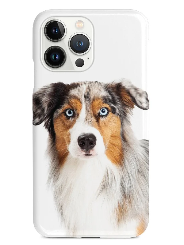 Australian Shepherd Case