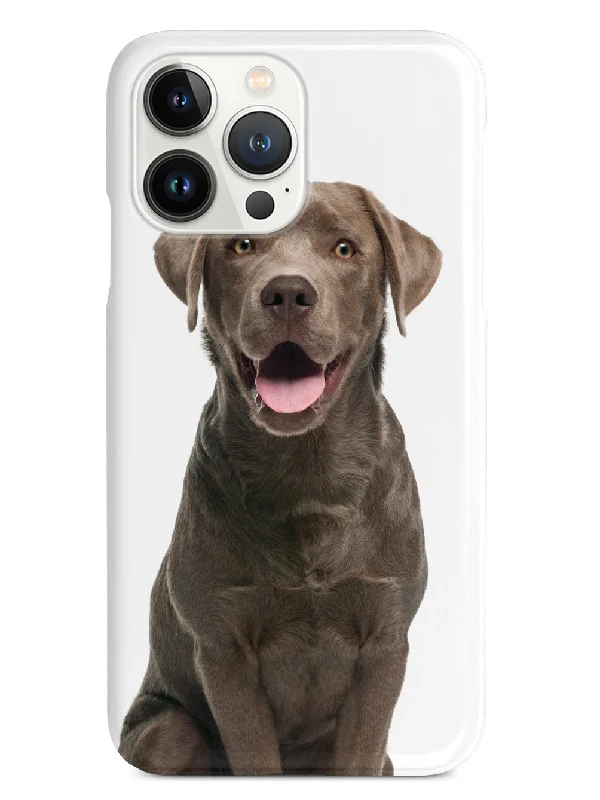 Chocolate Labrador Case