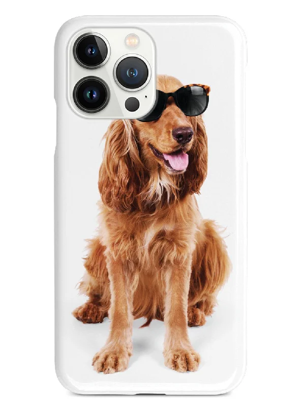 Cocker Spaniel with Sunglasses Case