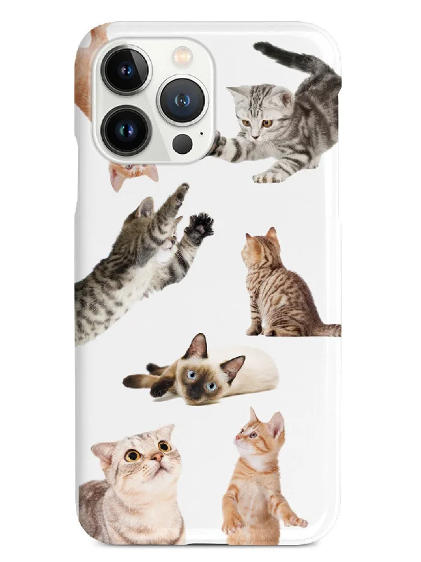 Funny Cats Case