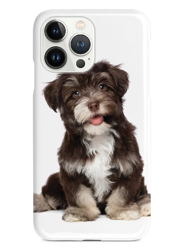 Havanese Puppy Case