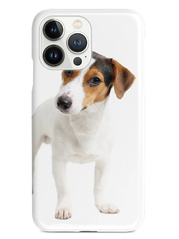 Jack Russell Terrier Puppy Case