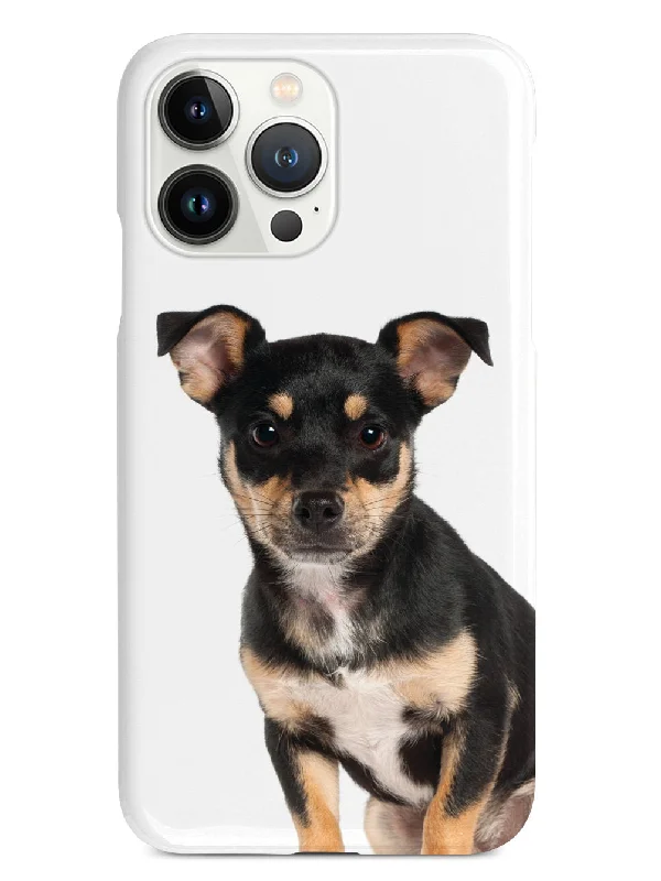 Miniature Pinscher Case