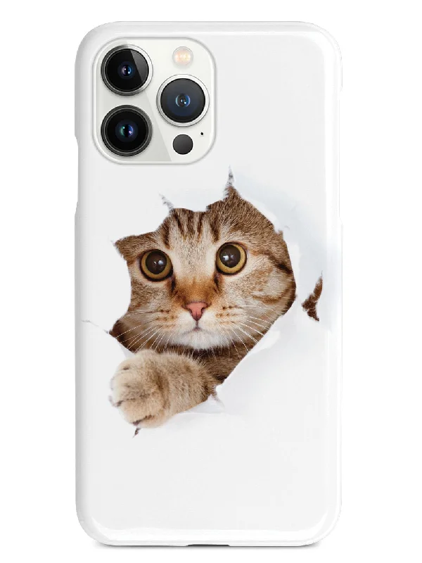 Peek-a-Boo Kitty Case