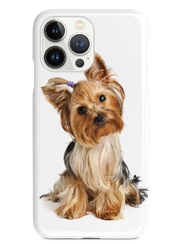 Yorkshire Terrier with Bow Case